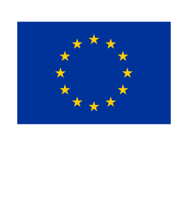 Co-funded by the European Union